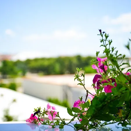 Apartament Deluxe Zararia *