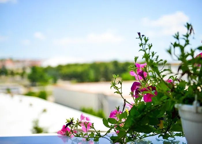 Apartman Deluxe Zararia *